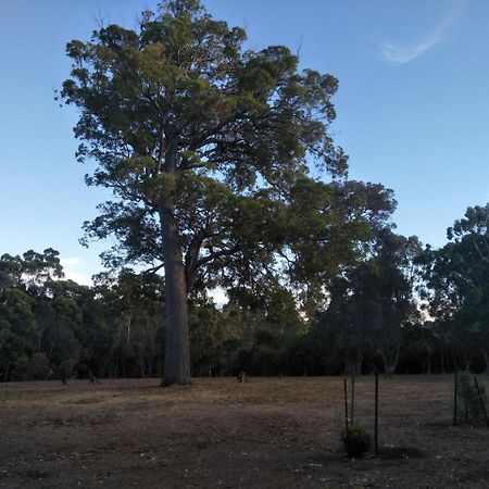 شقة Margaret House Margaret River المظهر الخارجي الصورة
