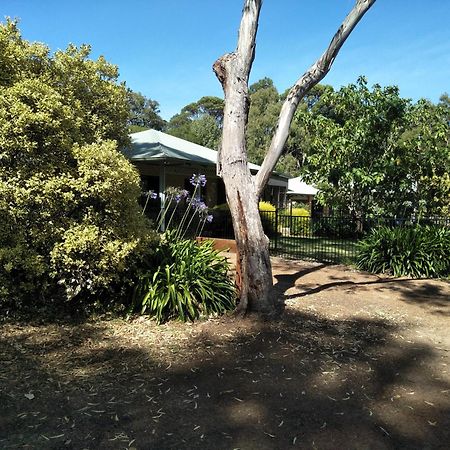 شقة Margaret House Margaret River المظهر الخارجي الصورة
