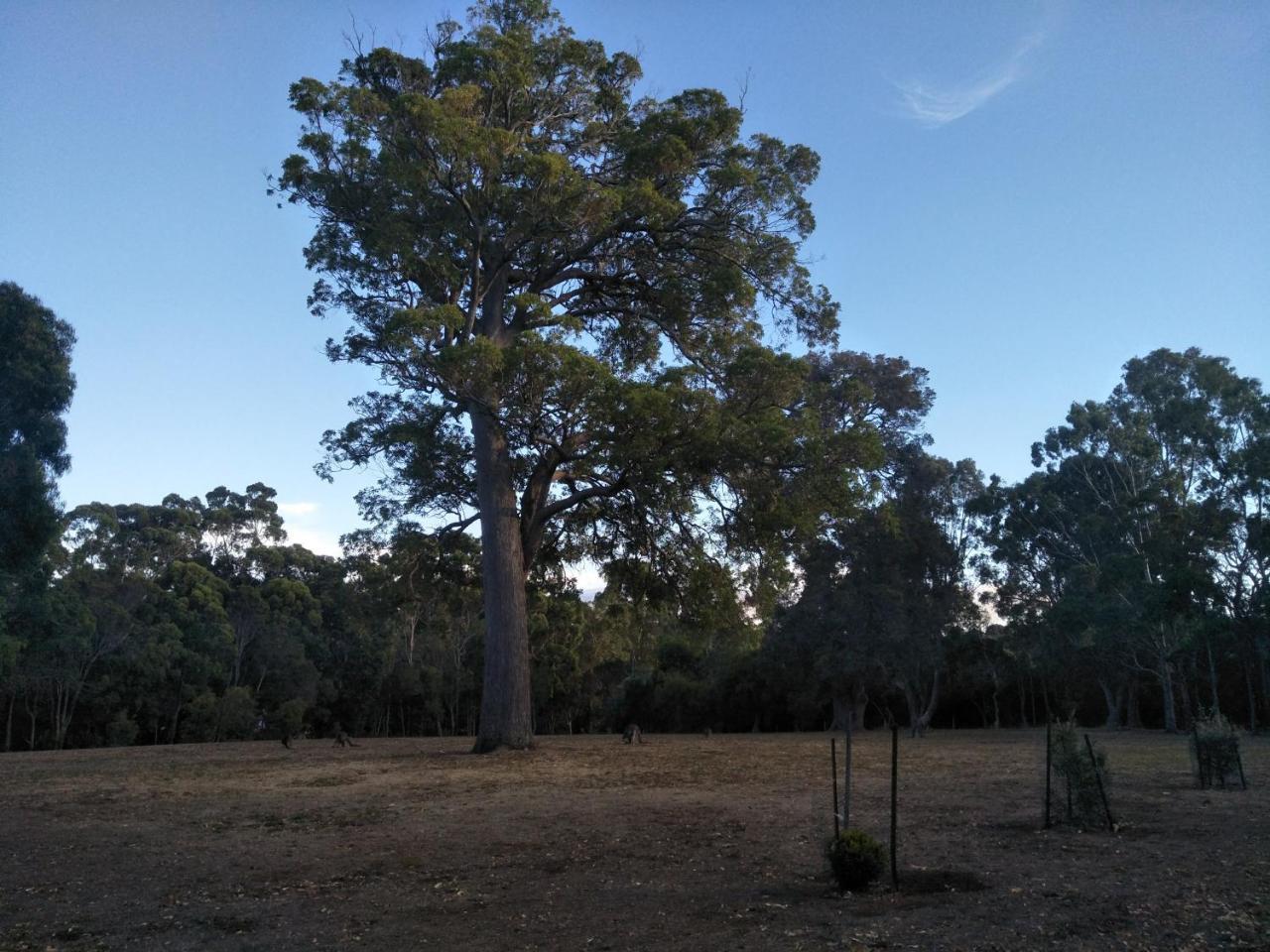 شقة Margaret House Margaret River المظهر الخارجي الصورة