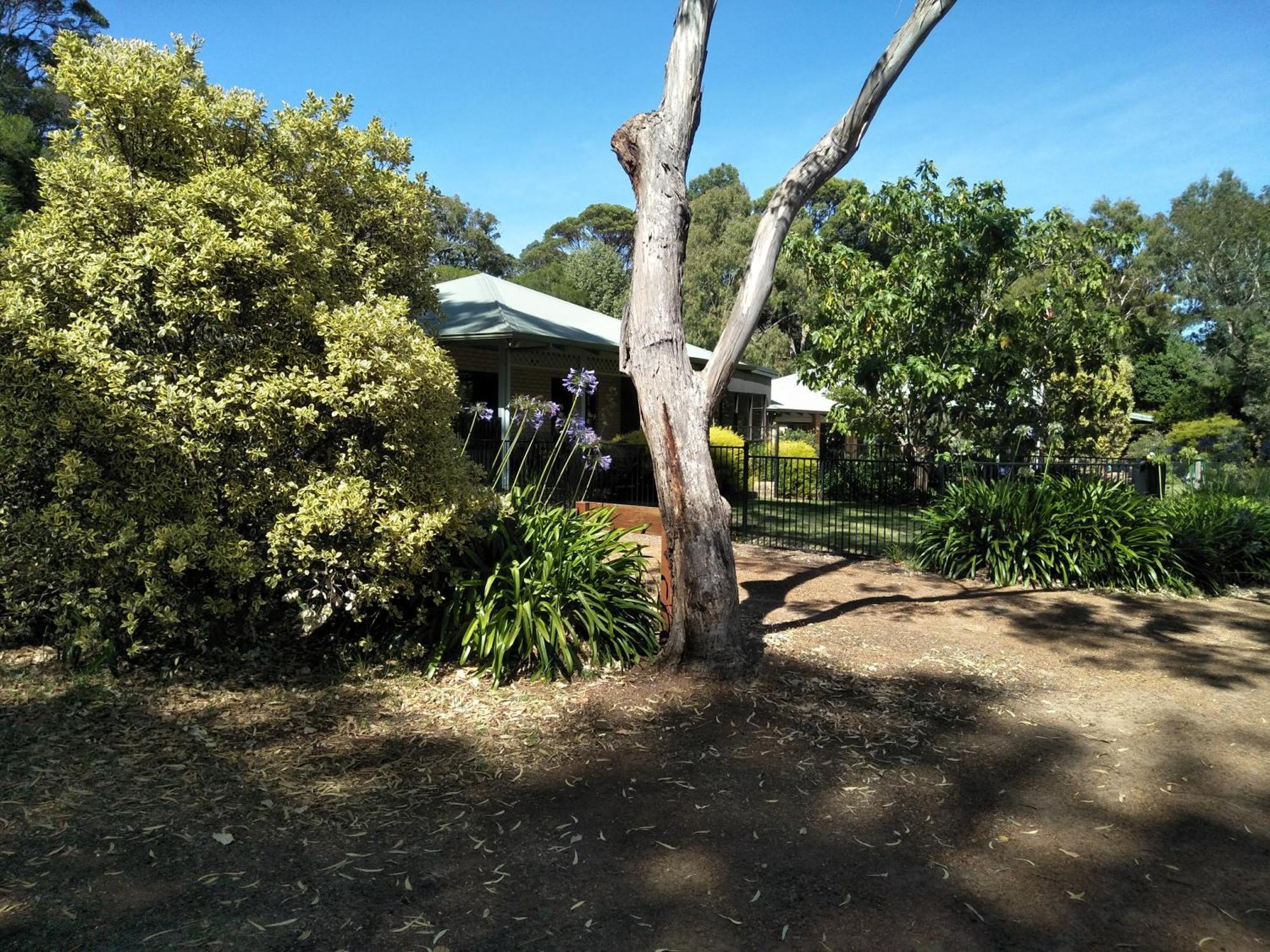 شقة Margaret House Margaret River المظهر الخارجي الصورة